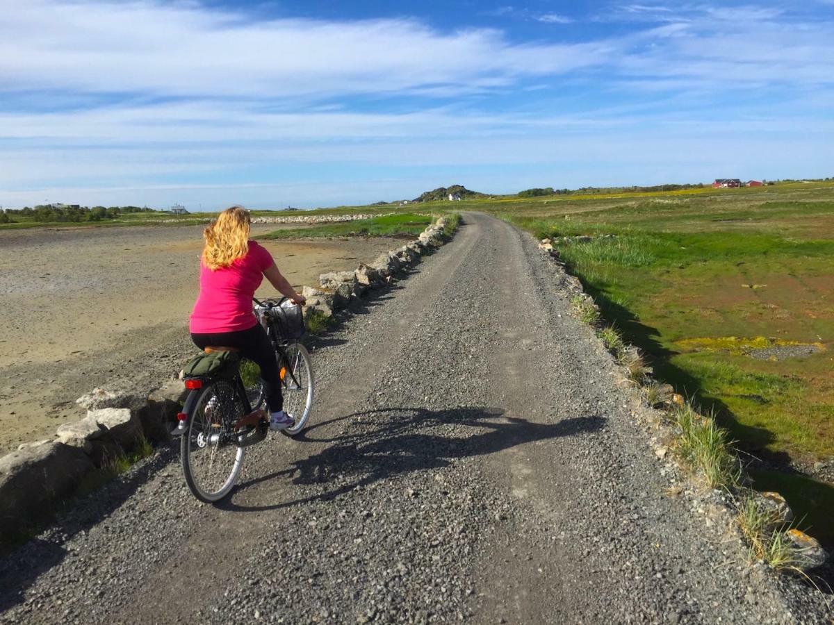 Elstad Farm Lofoten Bostad Ngoại thất bức ảnh